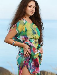  Norma A Unconnected with Antonio Clemens - PAHALE